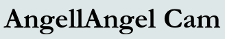 AngellAngel Cam