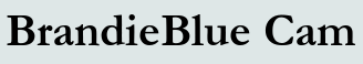 BrandieBlue Cam