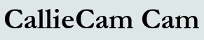 CallieCam Cam