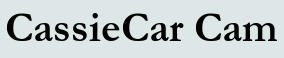 CassieCar Cam