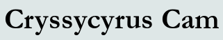 Cryssycyrus Cam