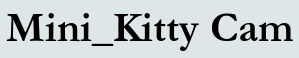 Mini_Kitty Cam