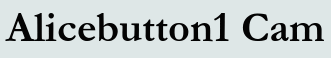 Alicebutton1 Cam