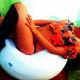 Amazingxgirl cam