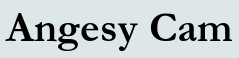 Angesy Cam