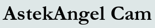 AstekAngel Cam