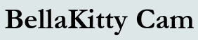 BellaKitty Cam