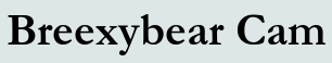 Breexybear Cam