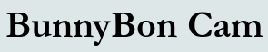 BunnyBon Cam