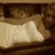 Cassidyx adult chat