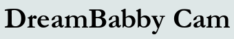 DreamBabby Cam