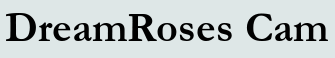 DreamRoses Cam