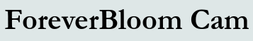ForeverBloom Cam