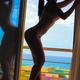 HardCrystal cams