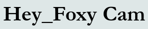 Hey_Foxy Cam