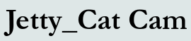 Jetty_Cat Cam