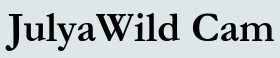 JulyaWild Cam