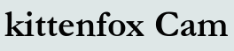 kittenfox Cam