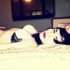 MarieJane adult chat