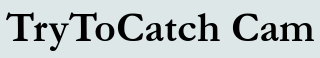 TryToCatch Cam