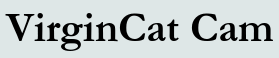 VirginCat Cam