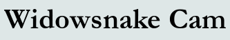 Widowsnake Cam